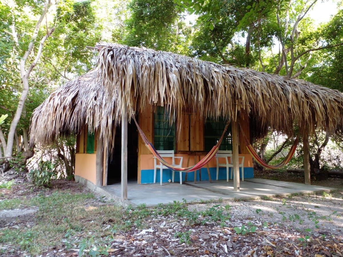 Ecohotel Arte y Aventura Isla Grande  Exterior foto